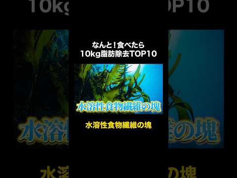 10kgやせるための脂肪燃焼フードTOP10その7【ダイエット】