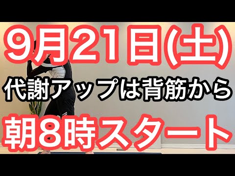 【私、体操で8㎏痩せました】60代70代向け🔰初心者大歓迎❗️今日から痩せよう🔰朝8時スタート！無理なくお腹凹む！ナマケモノの健康LIVE