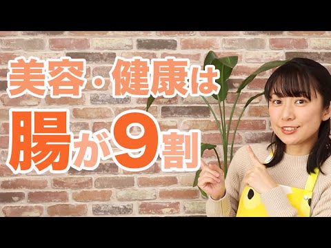【腸活】美容・健康・ダイエット成功のカギは腸が9割