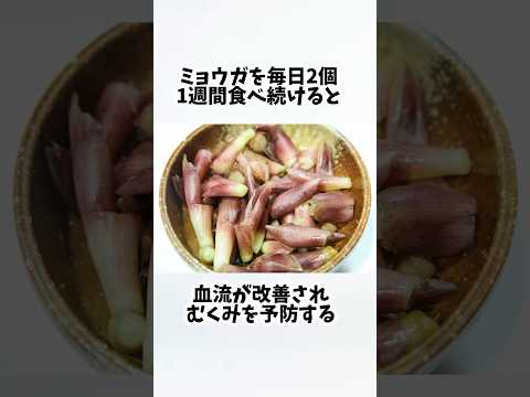 ミョウガを毎日食べたらどうなるの？【30秒でわかる効果まとめ】#ダイエット #筋トレ #美容 #健康 #雑学 #ナレーター #小林将大