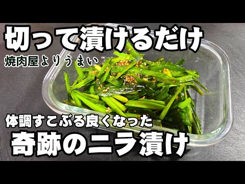 【奇跡の無限ニラ漬け】にらを切って漬けるだけ！体調が良くなった 焼肉屋のめっちゃうまい 作り置き 常備菜 副菜レシピ 簡単おつまみ ご飯泥棒 健康料理 疲労回復